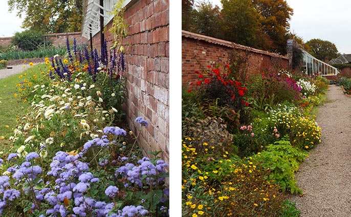 Shake off the cold weather blues by walking through the drifts of flowers