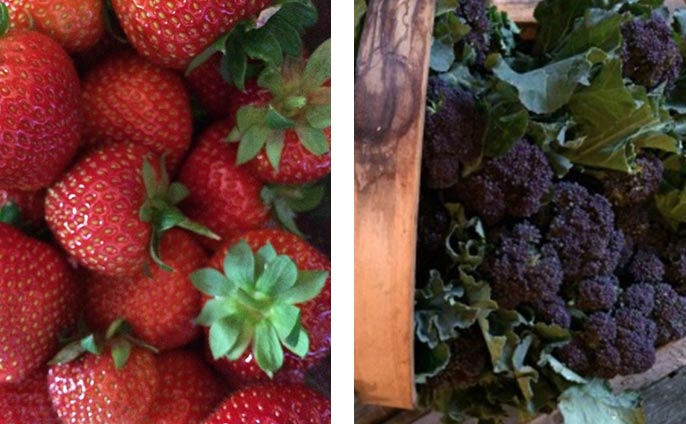 Farm Shop and Deliveries