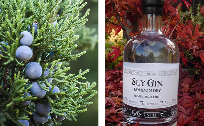 Sly Gin is created by hand in incredibly small batches using herbs from our Herefordshire garden